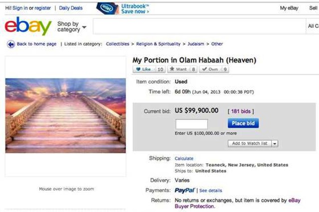 Screenshot of bid page before the eBay take down