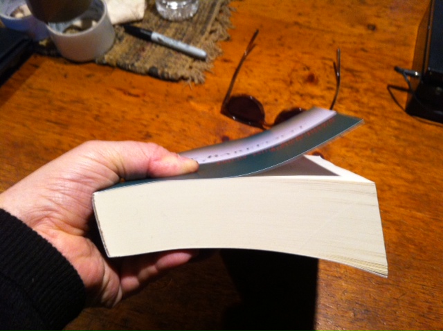 It looks, feels, and smell like a book! Hey, it is a book!