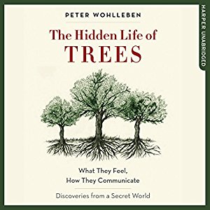 the-hidden-life-of-trees